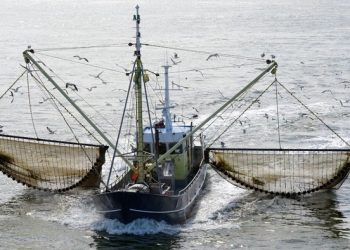 La muerte del mar no figura en la agenda de nadie