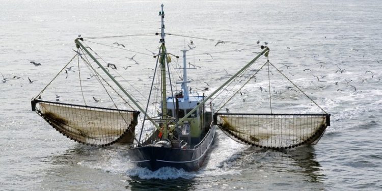 La muerte del mar no figura en la agenda de nadie