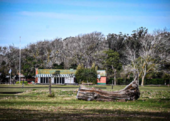Parque Camet: el gobierno municipal busca llegar a la Suprema Corte