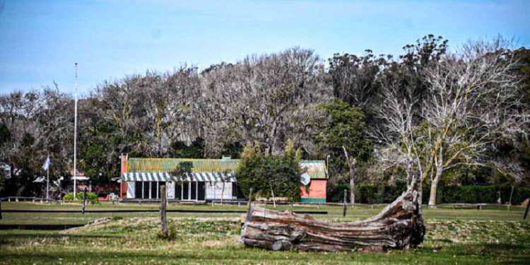 Parque Camet: el gobierno municipal busca llegar a la Suprema Corte