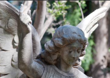 Visitas guiadas al Cementerio de los Disidentes de Rosario