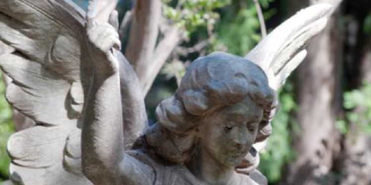 Visitas guiadas al Cementerio de los Disidentes de Rosario