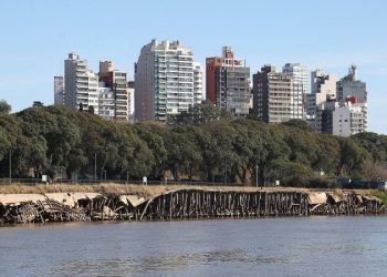 Ex Zona Franca Boliviana: el pasado y futuro de un muelle antiguo y riesgoso