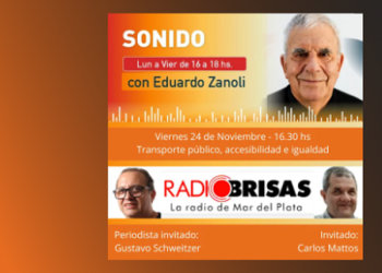 Transporte público y accesibilidad en Mar del Plata