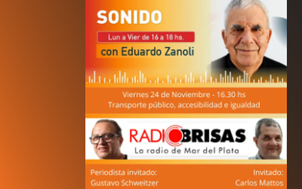 Transporte público y accesibilidad en Mar del Plata