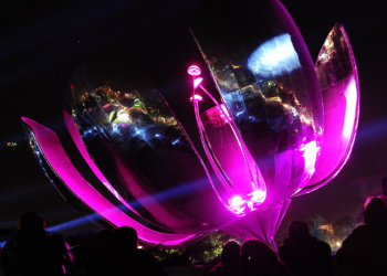 Floralis genérica: solo funciona “a mano”