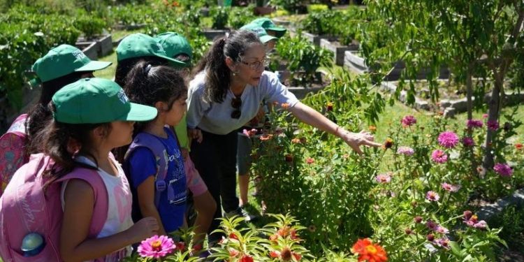 La Ciudad celebró el Día Mundial de la Educación Ambiental