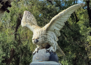 Destacan el “valor histórico” del águila recuperada