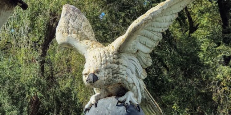 Destacan el “valor histórico” del águila recuperada