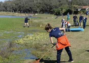 Los principales problemas socioambientales de Mar del Plata