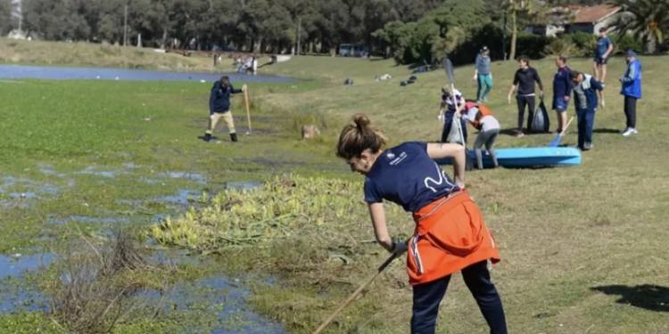 Los principales problemas socioambientales de Mar del Plata