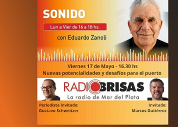 Nuevas potencialidades y desafíos para el puerto marplatense