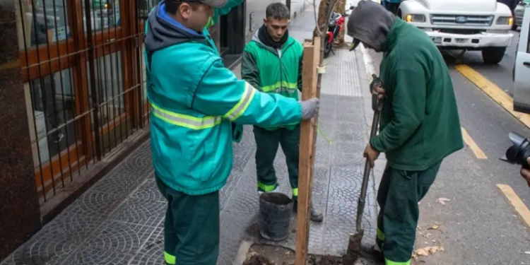 Plan de Arbolado 2024 para CABA