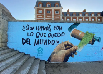 Cuáles son y cómo trabajan las organizaciones ambientalistas