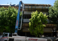 Extracción ilegal de árboles en Rosario