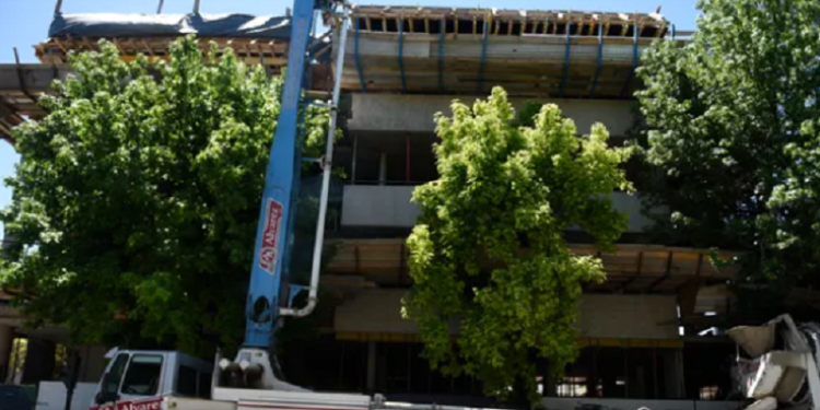 Extracción ilegal de árboles en Rosario