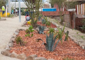 Gravilla de ladrillo: un nuevo material para crear jardines de bajo consumo hídrico