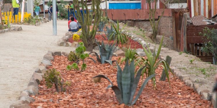 Gravilla de ladrillo: un nuevo material para crear jardines de bajo consumo hídrico