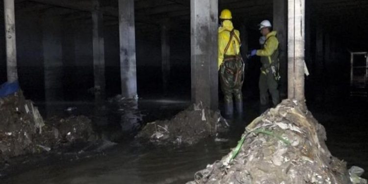 Operativo para limpiar el arroyo Maldonado