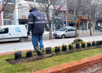 Tareas de paisajismo en la Feria de Artesanos