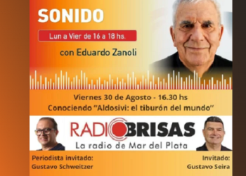 Aldosivi. El tiburón del mundo es de Mar del Plata