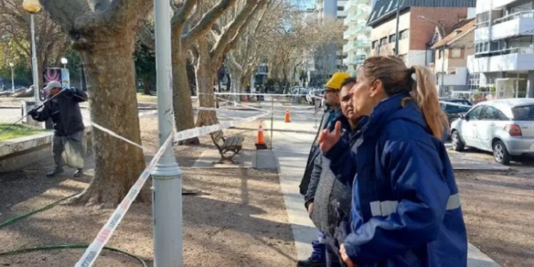 Comienzan las obras de puesta en valor de Plaza Mitre