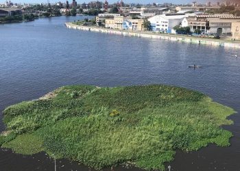 Vuelta de Rocha: La posibilidad de una isla