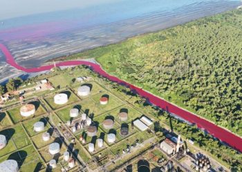 Altos niveles de contaminación en suelo y agua de una petroquímica