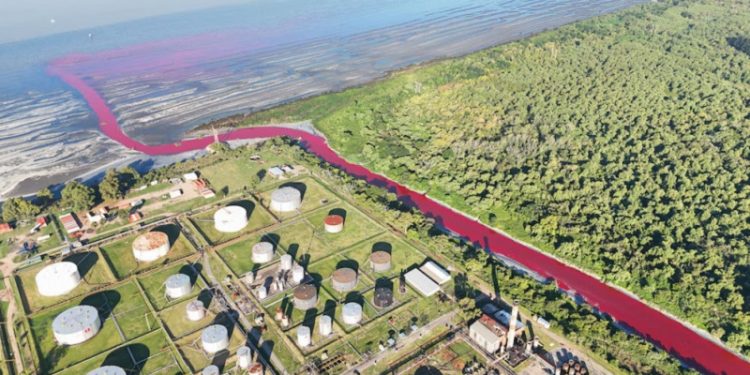 Altos niveles de contaminación en suelo y agua de una petroquímica