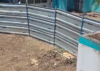 Deforestación urbana de árboles históricos en el Hospital Penna