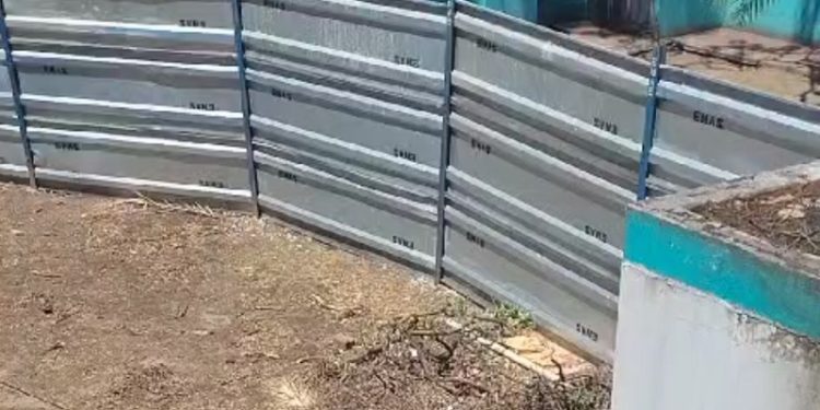 Deforestación urbana de árboles históricos en el Hospital Penna