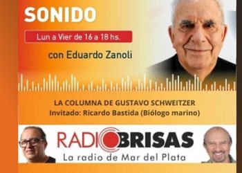 La importancia del acuario del Museo Scaglia en Mar del Plata