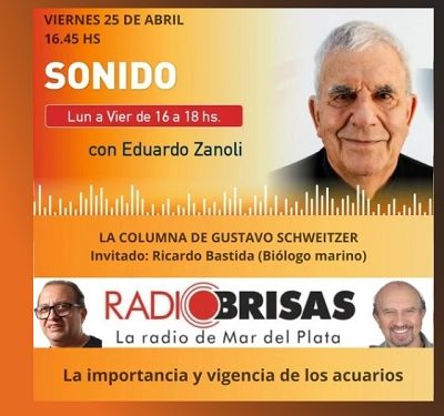 La importancia del acuario del Museo Scaglia en Mar del Plata