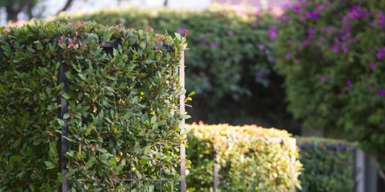 Las ventajas del paisajismo acústico