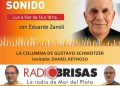 Mar del Plata antes de Mar del Plata – Entrevista a Daniel Reynoso